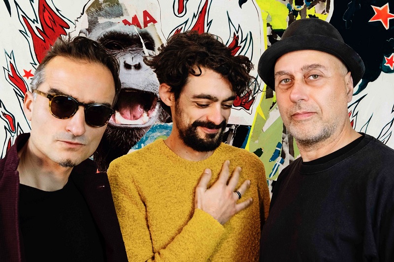 MAT -favoino-paola