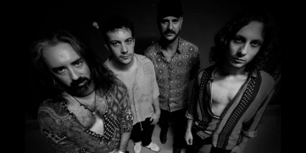 mr-bison-cover